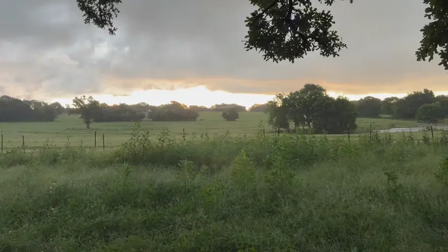 North Texas pasture and oak motte at first light near Gainesville